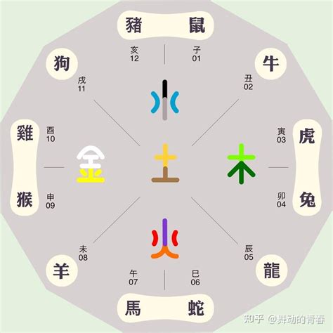 动物五行|动物五行属什么(十二生肖五行对照表图)